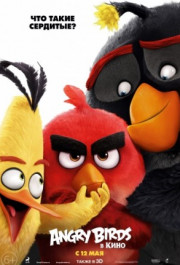 Постер Angry Birds